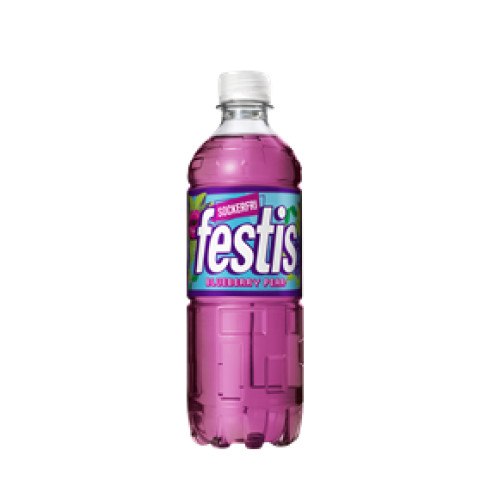 FESTIS BLUEBERRY 0,5l X12st